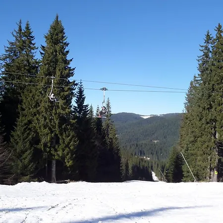 In Complex Monastery 1 Daire *